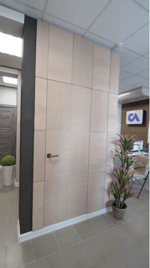 Дверь невидимка с отделкой